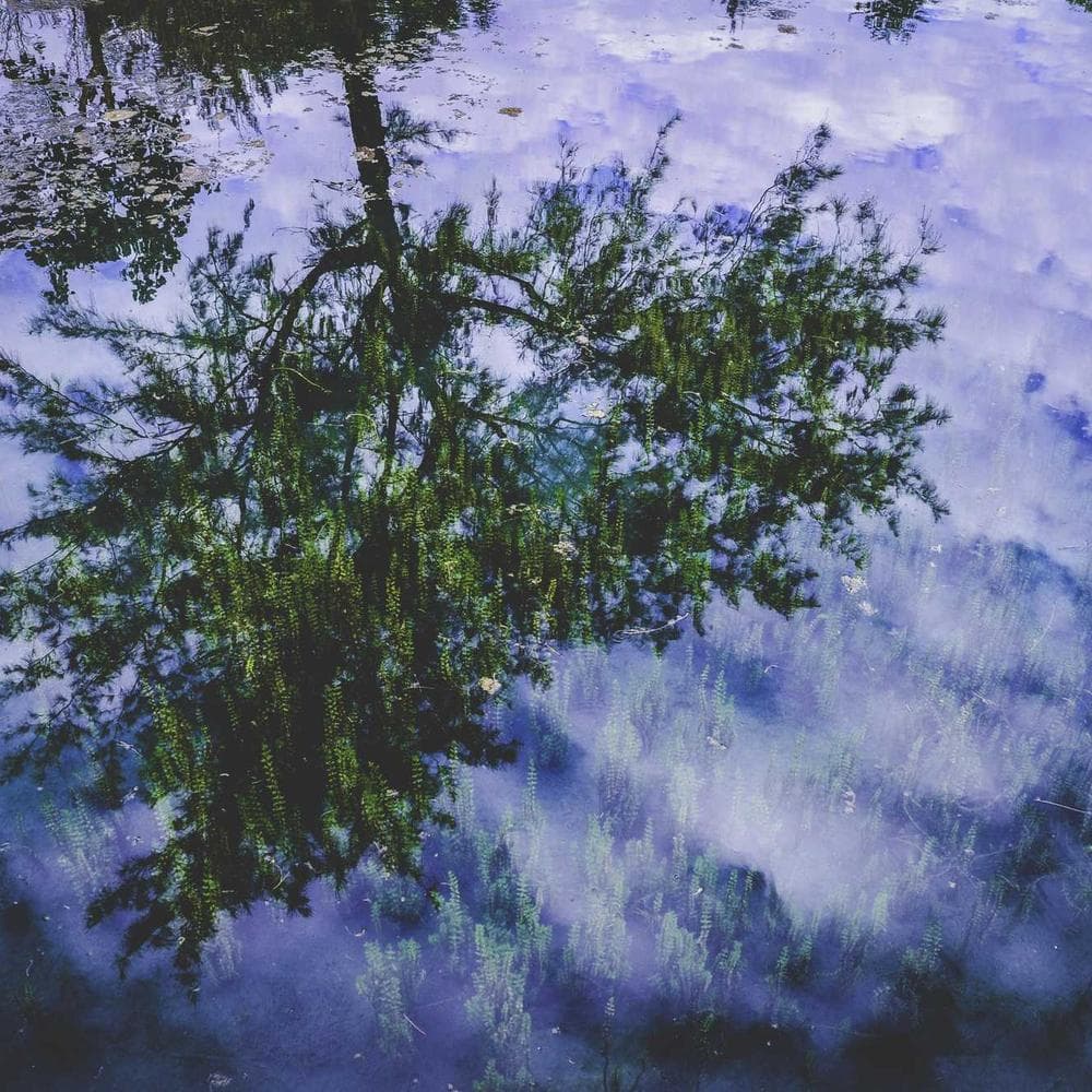 Aramid Fiber Carbon Gallery View 2