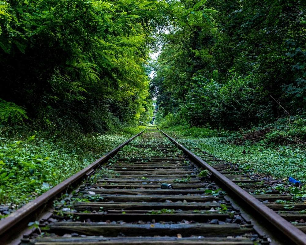 Aramid Fiber Texture