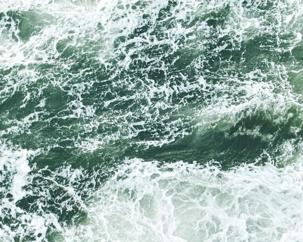 Full-Grain Leather Texture