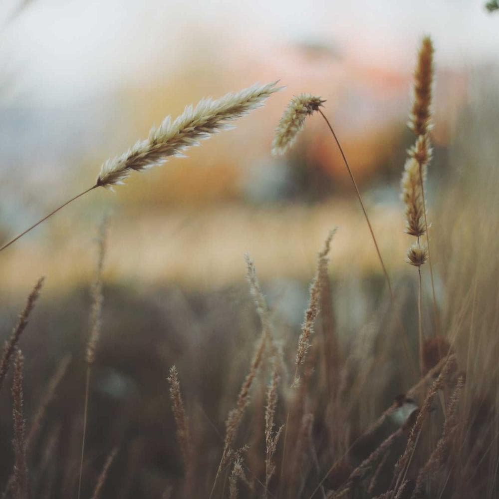 Rugged Armor Kevlar Gallery View 1